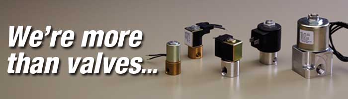 We're More than Valves...