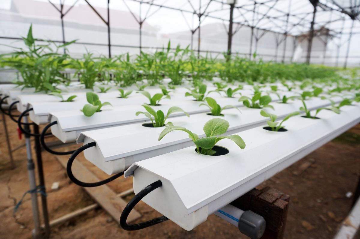 Hydroponics solenoid valaves